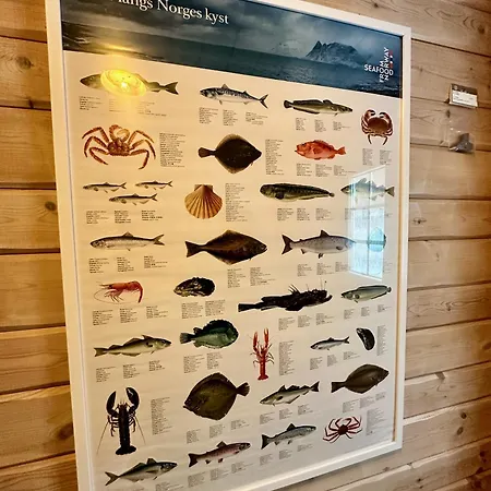 Lofoten Troll Point *