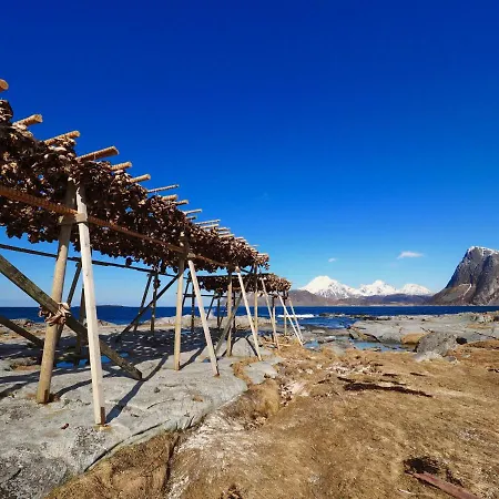 Lofoten Troll Point