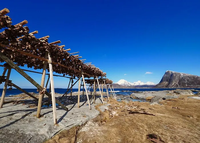 Lofoten Troll Point
